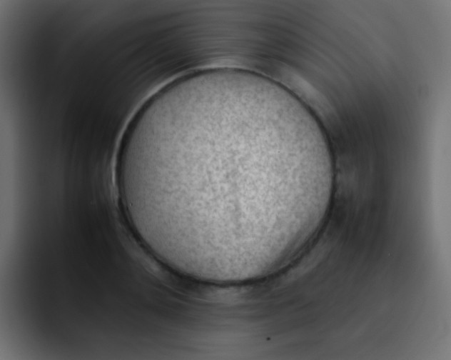 X0000092090892200710031152