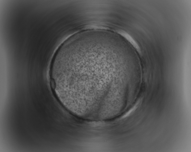 X0000092090893200710031152