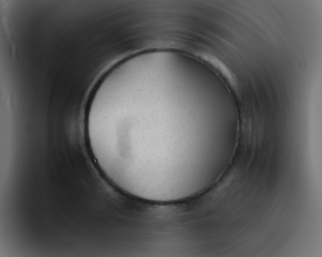 X0000092090894200710031152