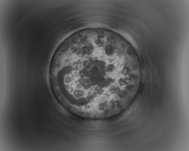 X0000092090895200710031152