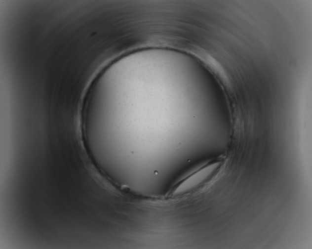 X0000092090896200710031152