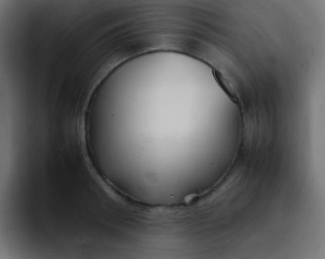 X0000092090898200710031152