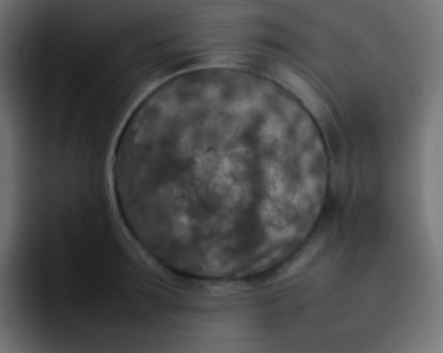 X0000092090899200710031152