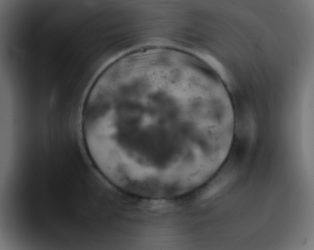 X0000092090903200710031152