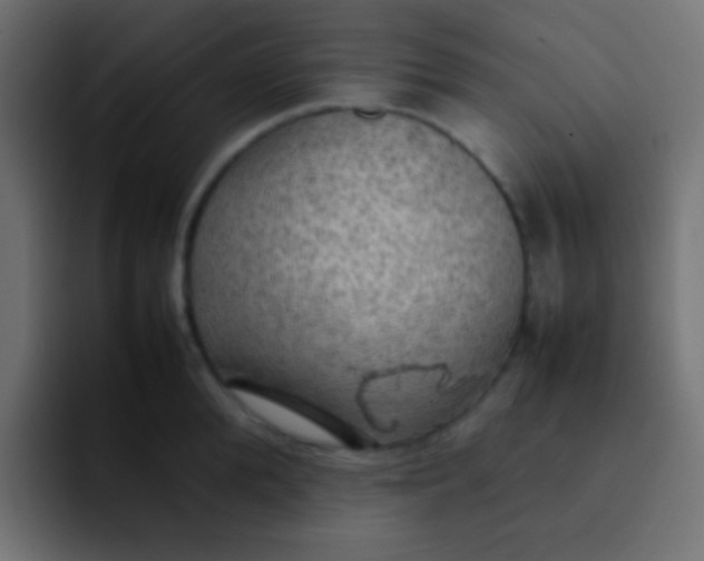 X0000092090904200710031152