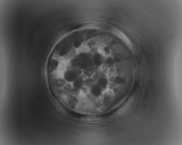 X0000092090907200710031152