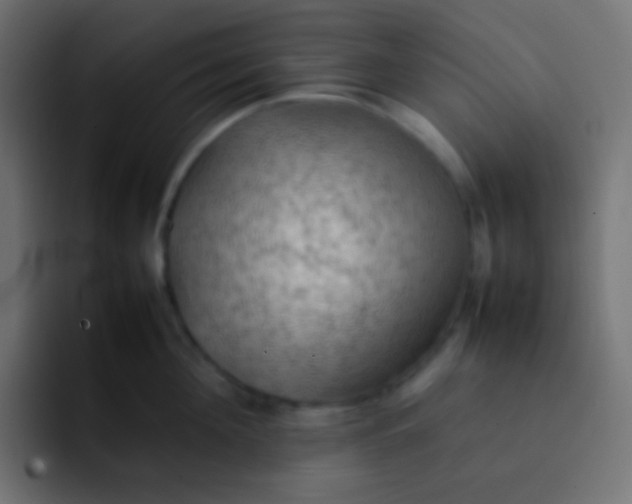 X0000092090908200710031152