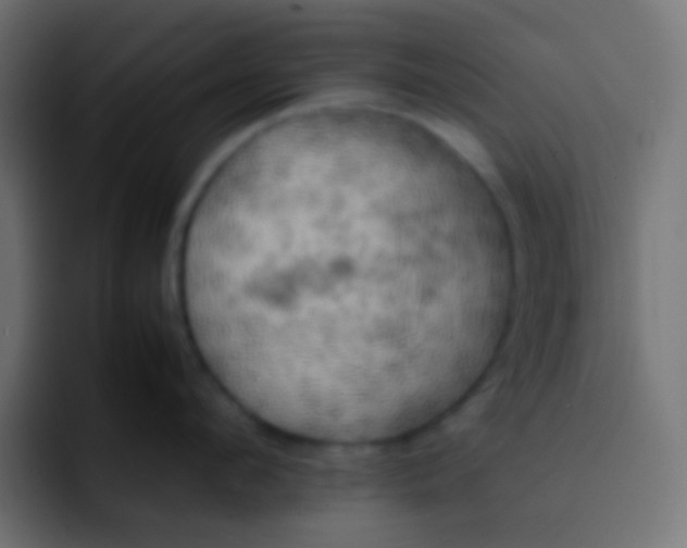 X0000092090912200710031152