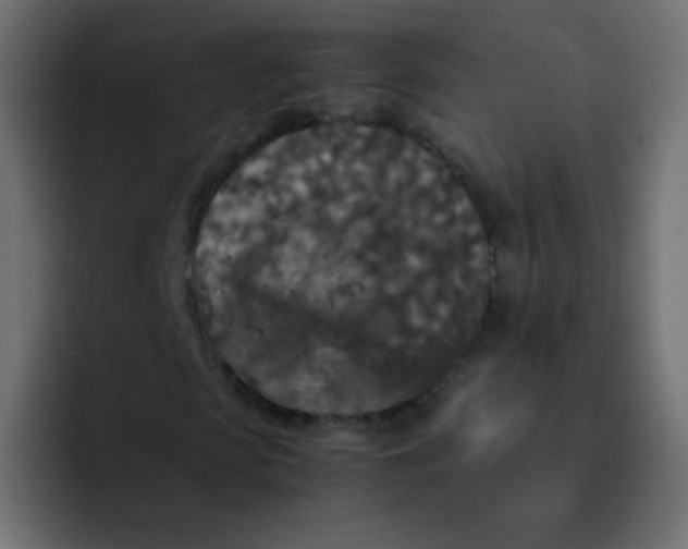 X0000092090913200710031151