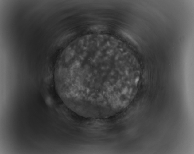 X0000092090917200710031151