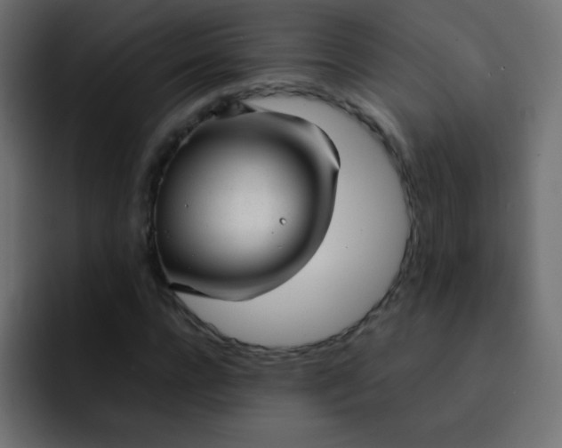 X0000092090920200710031151