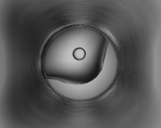 X0000092090924200710031151