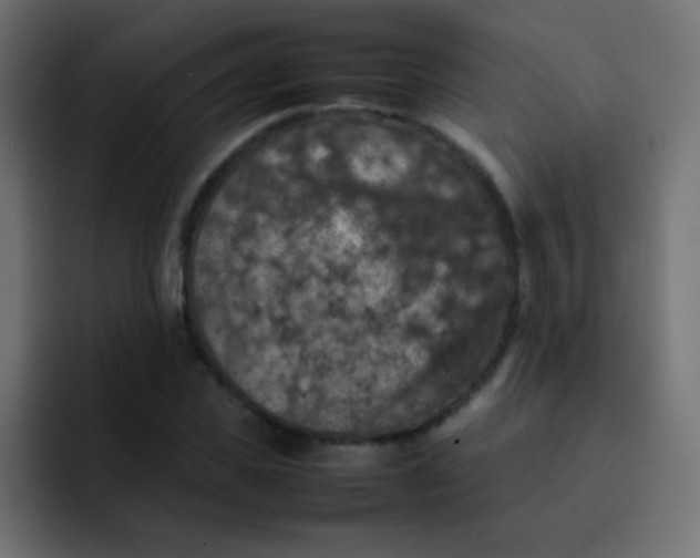 X0000092090925200710031151