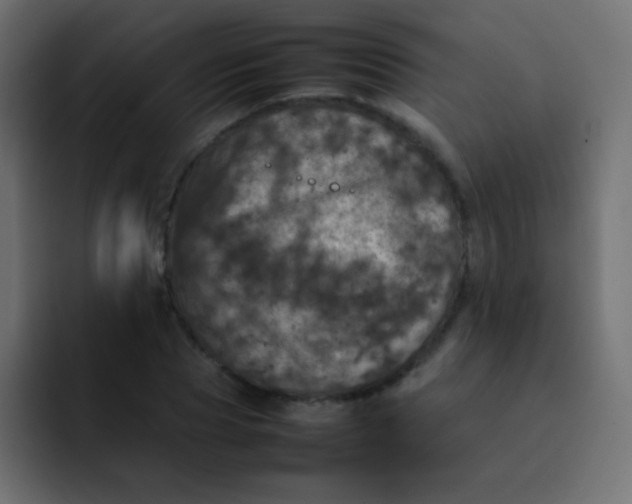 X0000092090929200710031151