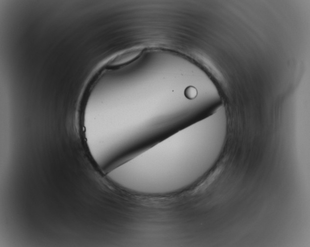 X0000092090932200710031151