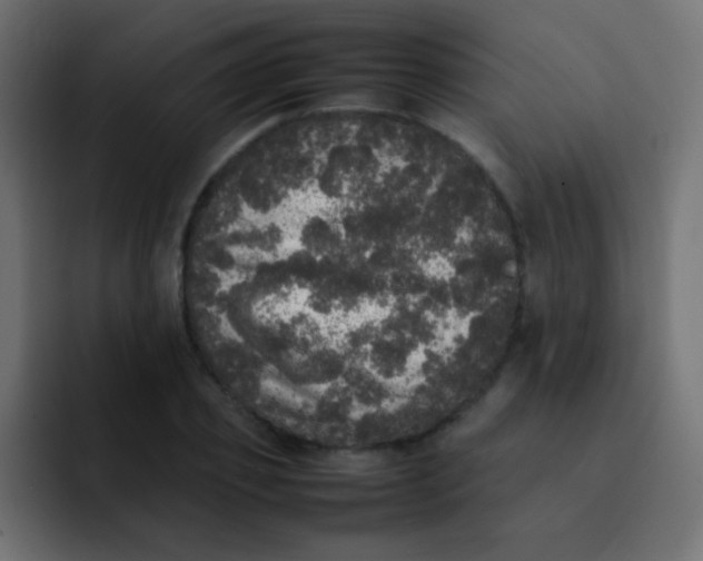 X0000092090933200710031152