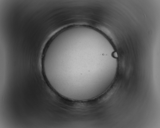 X0000092090935200710031152