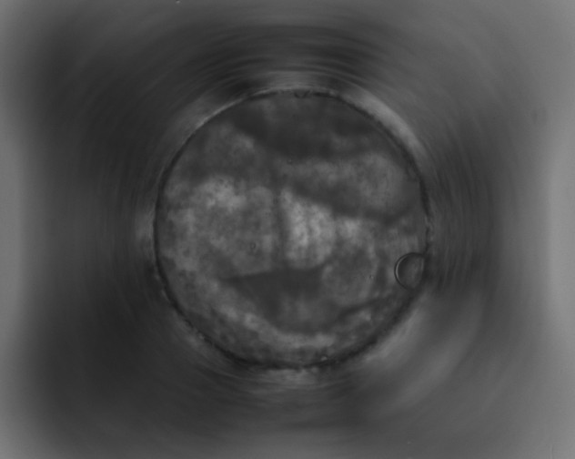 X0000092090937200710031152