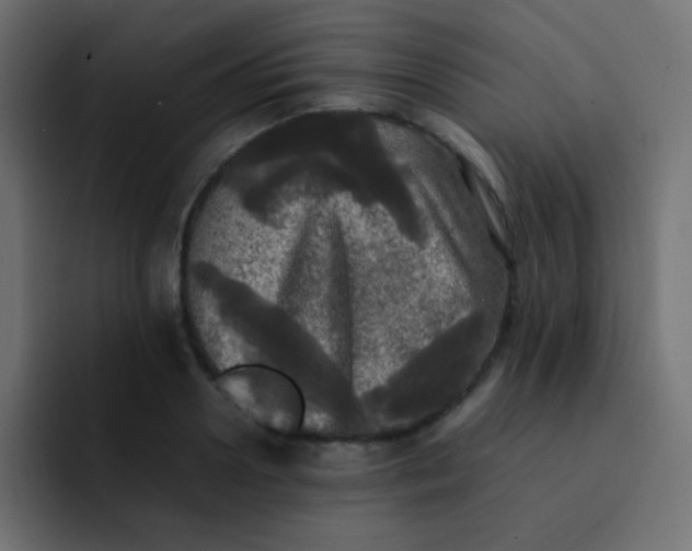 X0000092090938200710031152