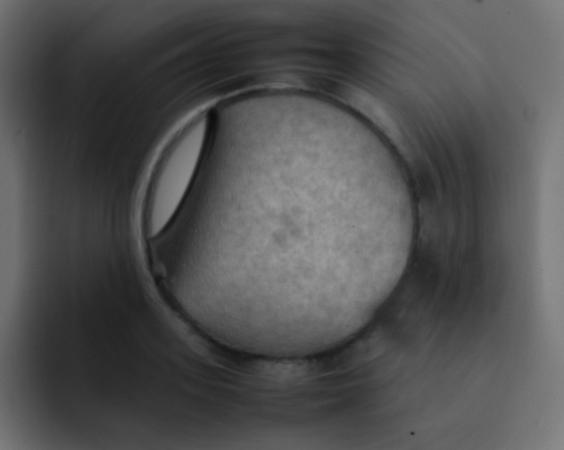 X0000092090939200710031152