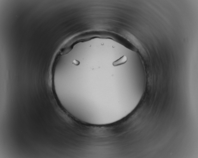 X0000092090940200710031152