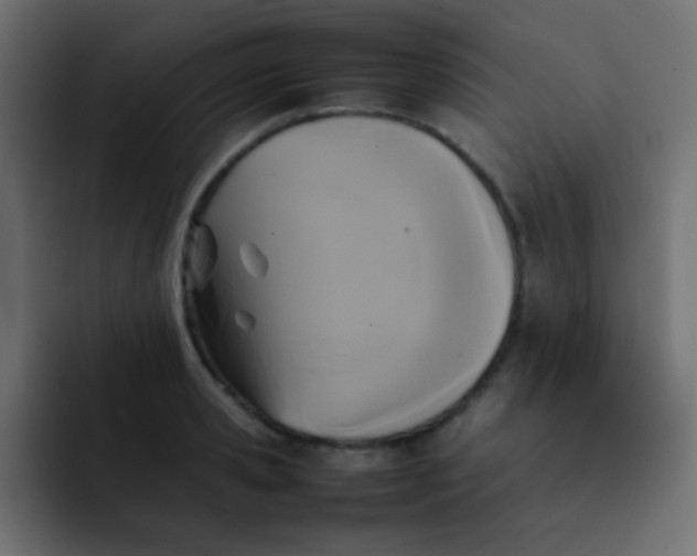 X0000092090941200710031152