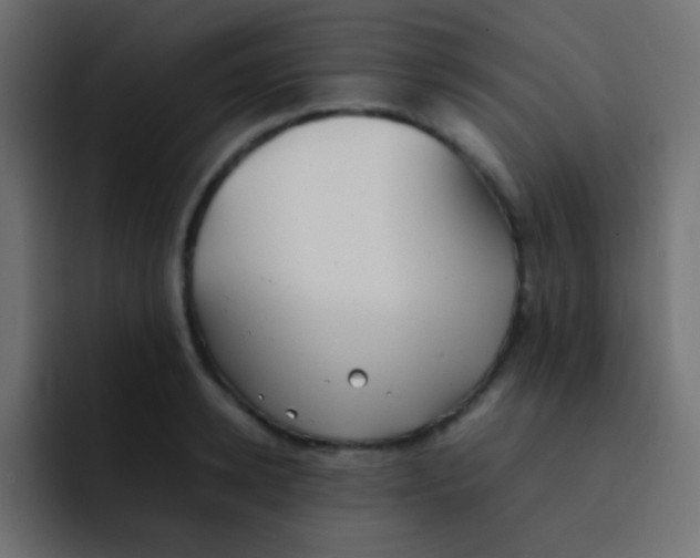 X0000092090942200710031152