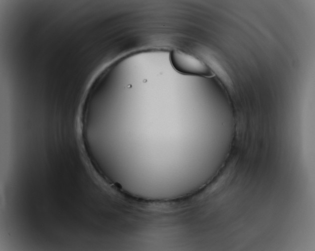 X0000092090944200710031152