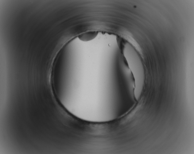 X0000092090946200710031152