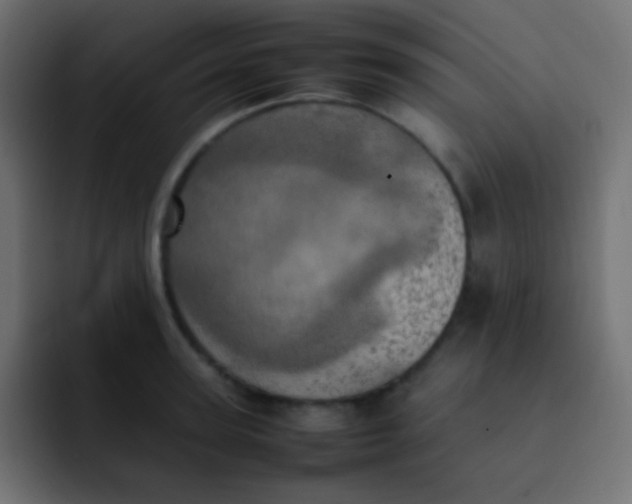 X0000092090947200710031152