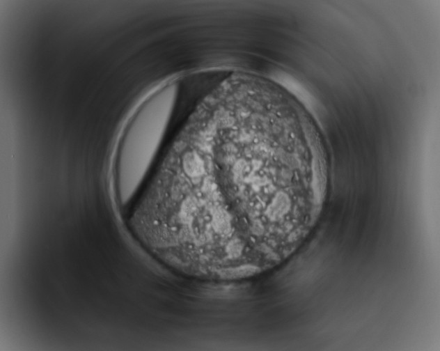 X0000092090949200710031152