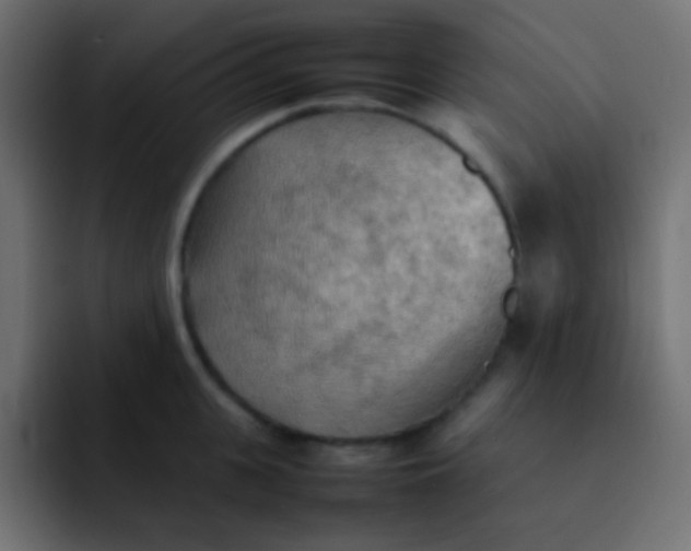 X0000092090951200710031152