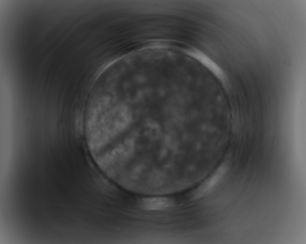 X0000092090953200710031152