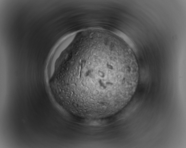 X0000092090955200710031152