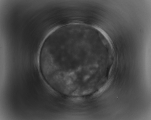 X0000092090957200710031152