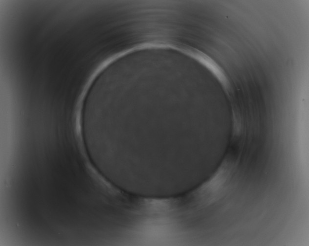 X0000092090958200710031152