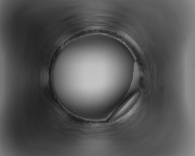 X0000092090969200710031151
