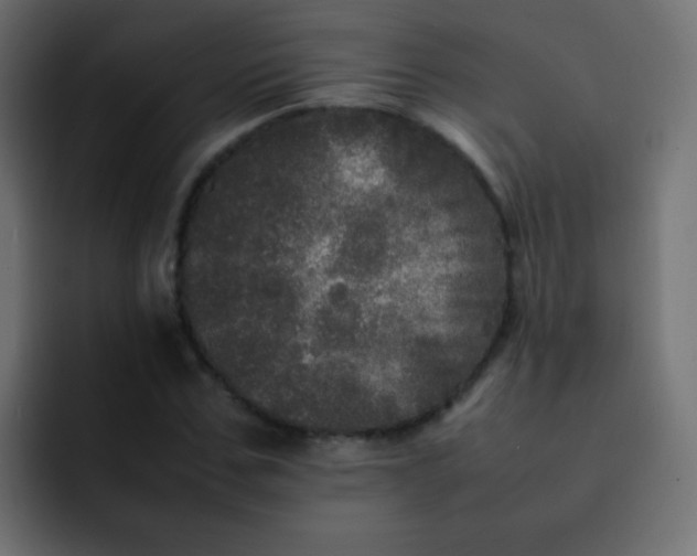 X0000092090971200710031151