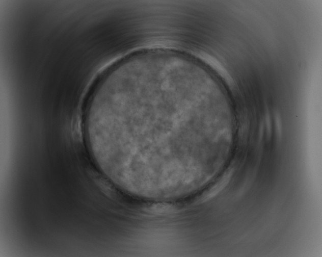X0000092090974200710031151