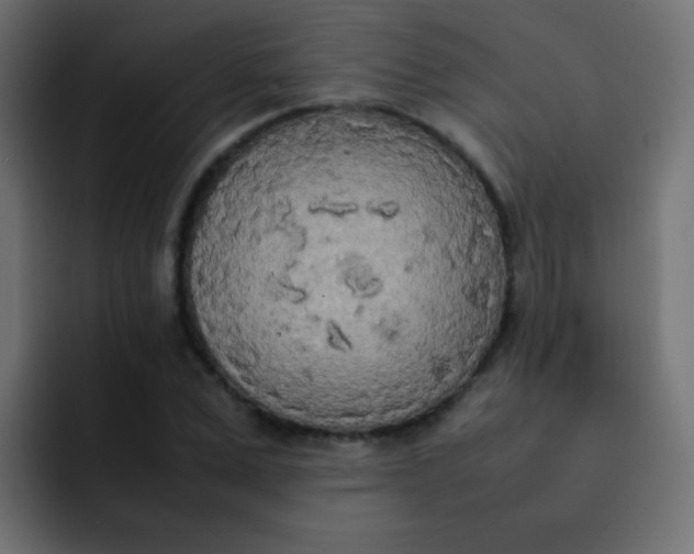 X0000092090975200710031151