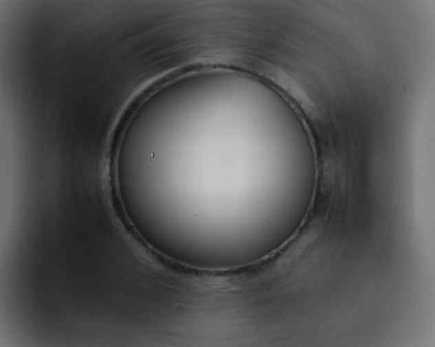 X0000092090976200710031151