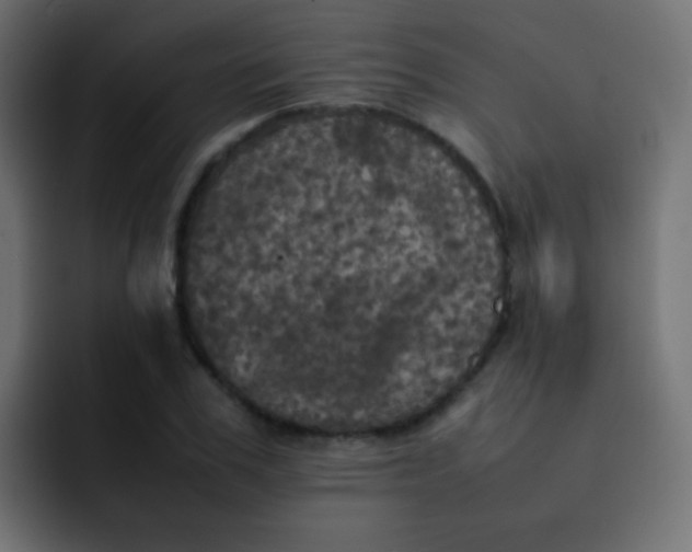 X0000092090979200710031151