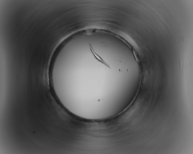 X0000092090980200710031151