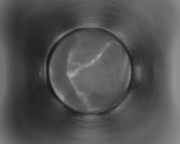 X0000092090982200710031151