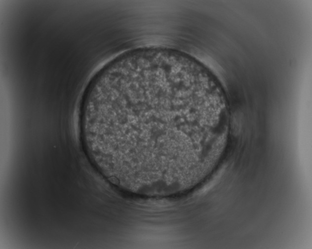 X0000092090983200710031151