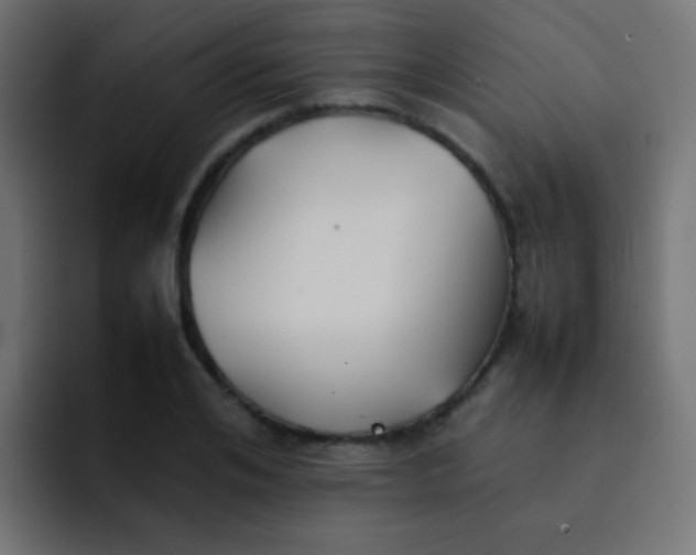 X0000092090984200710031151