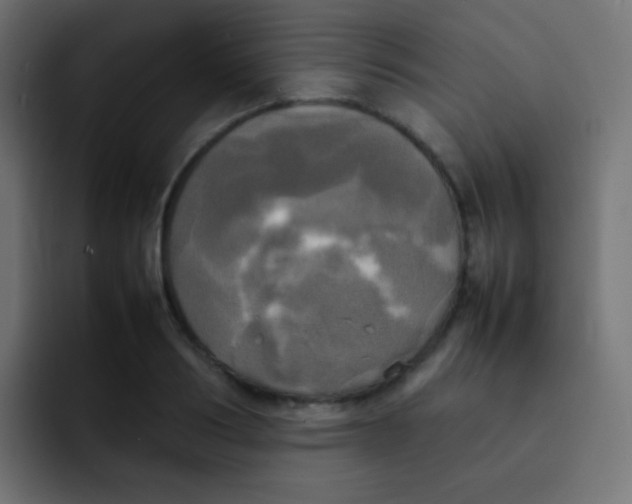X0000092090986200710031151