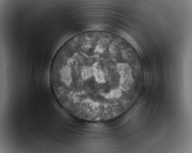 X0000092090994200710031151