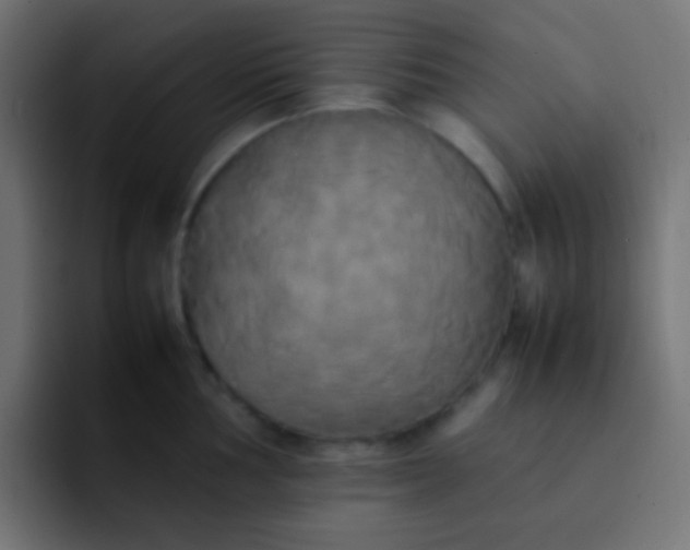 X0000092091002200710031151