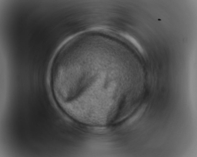 X0000092091007200710031151